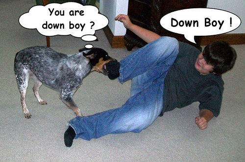 down-boy